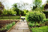 Kostenfreie Kleingartenflächen zum gemeinschaftlichen Gärtnern