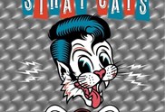 "40": The Stray Cats melden sich zurück