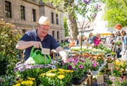 Mit dem BBG-Blumenmarkttag grün in den Mai starten