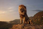 König der Löwen als bildgewaltiges Kino