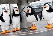  Die Pinguine Aus Madagascar zu Besuch in Braunschweig